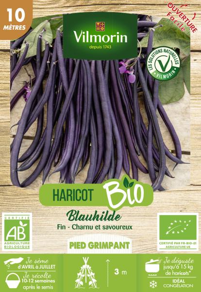Légumes Secs - Haricot Blauhilde - BIO - PACKAGING_RECTO